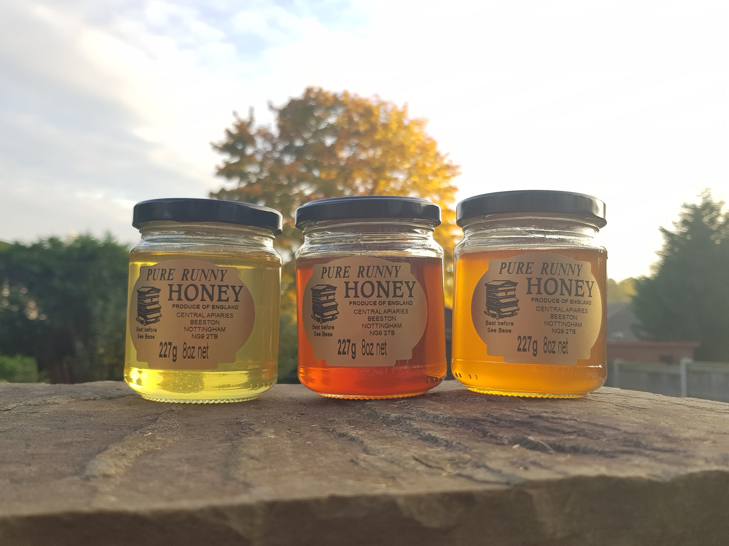 Pure Runny Honey